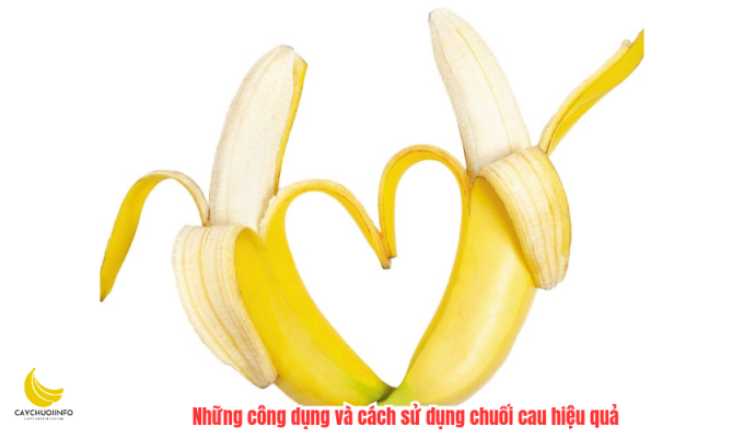 Những công dụng và cách sử dụng chuối cau hiệu quả