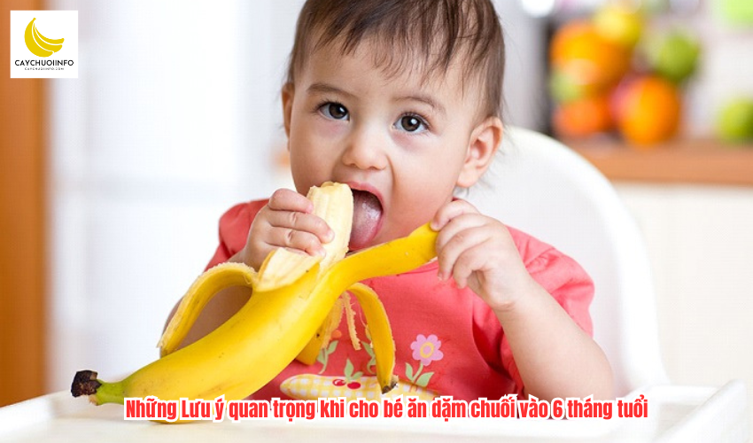 Những Lưu ý quan trọng khi cho bé ăn dặm chuối vào 6 tháng tuổi